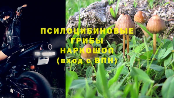 ГАЛЛЮЦИНОГЕННЫЕ ГРИБЫ Армянск